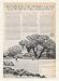 1974 Rossmoor Homes Walnut Creek CA Golf art Print Ad (43077)