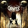 Bild des Albums von Carnifex