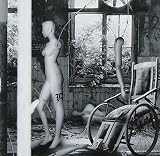 the RED in the monochrome(初回限定生産 A-TYPE)(DVD付)