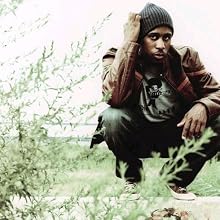 Ali Shaheed Muhammad