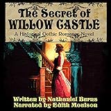 the secret of willow castle a historical gothic romance novel