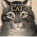 Songs Of The Cat