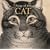 Songs Of The Cat