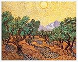 IMAGE OF Olive Trees, c.1889 Art Print Poster by Vincent Van Gogh