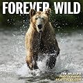 Forever Wild: The Wildlife Photography of Steve Bloom