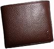 Polo Ralph Lauren Passcase Wallet in Brown
