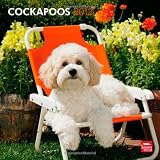 Cockapoos 2013 - Original BrownTrout-Kalender