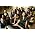 Thumbnail image of The Unthanks