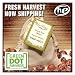 NaturOli Soap Nuts - 1/4 lb. (40 Loads!) - Premium, Hand-Sort
