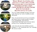 Search Our Specialty Mall : The Best Generate Extra Cash, Success Principles and Sales Models for Coin Collecting Kits Web Biz 3 Course + Resource Guide