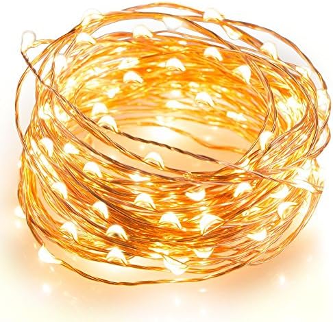 LPro LED String Lights Copper Wire Lights Perfect for Christmas Holiday, Wedding, Parties,Xmas(100 Leds, 33 ft, Warm White)