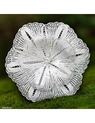 Sterling silver brooch, Exotic Bloom