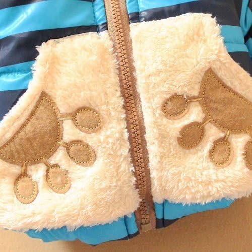 Boy Girl Kid Winter Jackets Baby Teddy Bear Hoodie Fleece Coat Outerwear 1T-3T (110(size 6-8 Months), Blue)