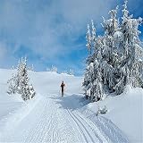Over The River And Through The Woods Its Cross Country Skiing We Go