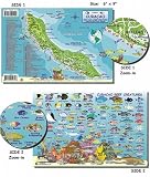 Curacao Reef Fish and Creature Guide