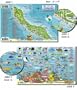 Curacao Reef Fish and Creature Guide