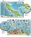 Curacao Reef Fish and Creature Guide