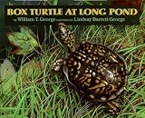 Box Turtle at Long Pond