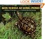 Box Turtle at Long Pond