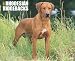 Just Rhodesian Ridgebacks 2010 Calendar
