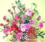 �y���������z�y�M�t�g�E���蕨�Ɂz�O�����I�T�ƃJ�[�l�[�V�����̍��؁��t�����[�A�����W�����gFL-MD-61