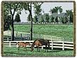 Kentucky Dreamin Tapestry Throw Blanket