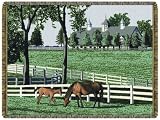 Kentucky Dreamin Tapestry Throw Blanket