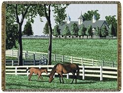 Kentucky Dreamin Tapestry Throw Blanket