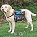 Trixie Rucksack For Dogs Medium 30102