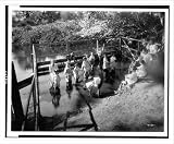 Historic Print (S): The Wading pool at the children's health camp, where hundreds of under-nourished aenemic
