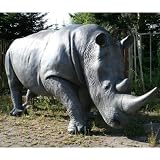 Produkt-Bild: GIGANTISCHES lebensgro&szlig;es Nashorn