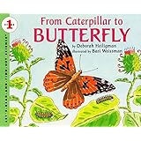From Caterpillar to Butterfly  (Let's-Read-and-Find-Out Science, Stage 1)