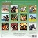 The Spirited Horse 2016 Calendar
