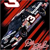 Dale Earnhardt #3 NASCAR Pole Position Royal Plush Raschel Blanket (800 Series) (60 x80 )