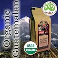 Organic Guatemalan