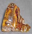Copal - Amber Specimen - Colombia