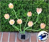SohoDecor Decorative Garden Tulip Solar Lights , 8 LEDs + Free ECO Bonus Gift