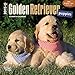 Golden Retriever Puppies 2015 Small Wall Calendar