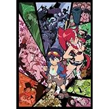 グレンラガン パラレルワークス2 【完全生産限定版】 [DVD]