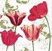 Entertaining with Caspari Set of Two Antique Tulip Paper Cocktail Napkins packages, 20 per package