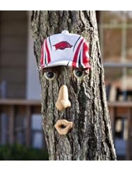 Sports: Arkansas Razorbacks Forest Face - Team Sports America