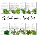12 Culinary Herb Assortment (Sage, Rosemary, Spearmint, Basil, Oregano, Cilantro, & More!) Seeds by Seed Needs
