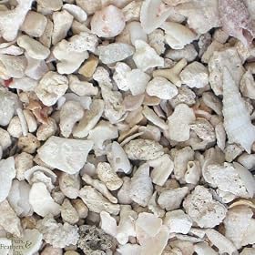 Caribsea Arag-Alive Florida Crushed Coral 10 lb by CaribSea