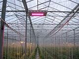 120W Triband 7:1:1 Hydroponic Plant Grow LED Light RED BLUE ORANGE LAMP