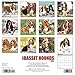 2016 Just Basset Hounds Wall Calendar