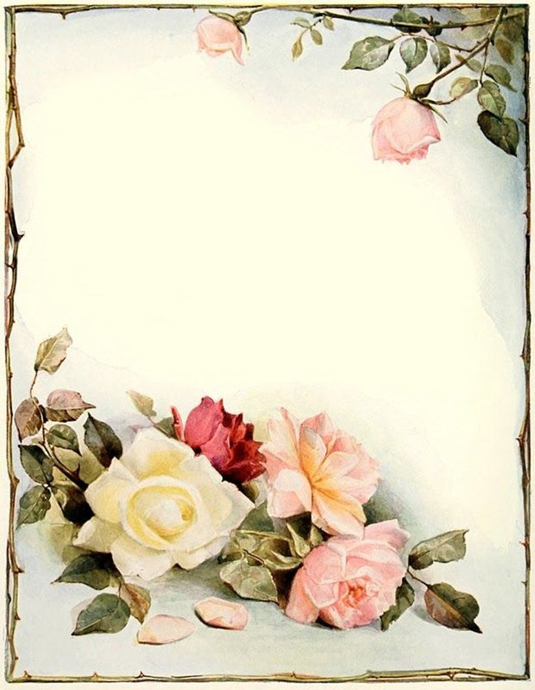 Elegant Pink & White Roses Stationery Printer Paper 26 Sheets eBay