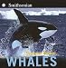 Whales