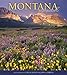 Montana: Unforgettable
