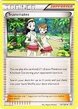 Pokemon - Teammates (141/160) - XY Primal Clash
