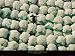 Ballots De Coton - Artist: Yann Arthus-Bertrand - Art Print Poster Size: 31.50 by 23.50 inches